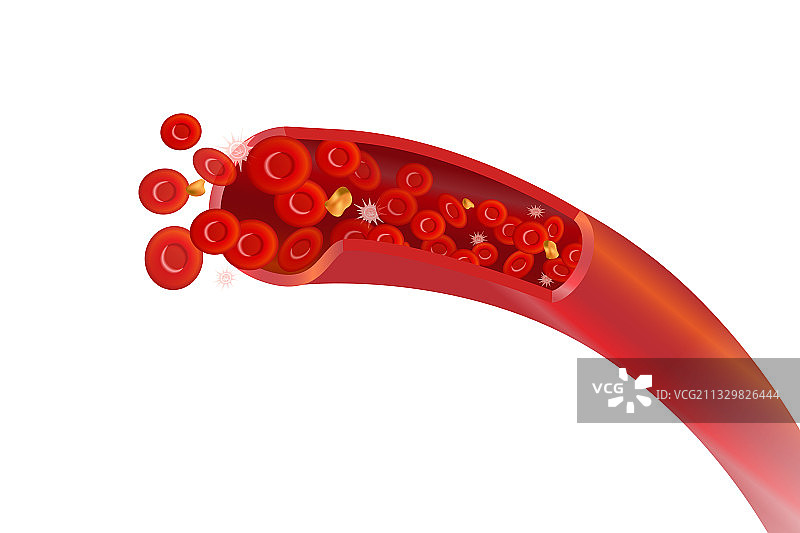 健康的动脉与红色红细胞图片素材