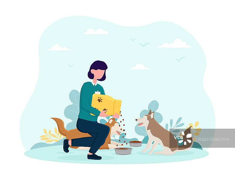 年轻的女人在做志愿者喂狗图片素材