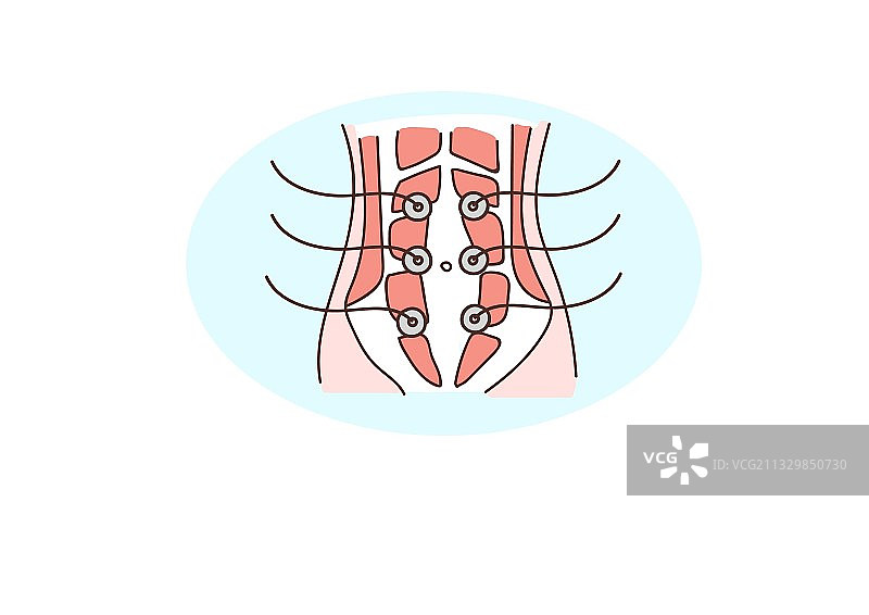 腹直肌分离图片素材
