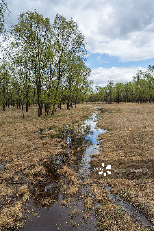泰湖，泰湖国家湿地公园，齐齐哈尔市，泰来县，栈道图片素材