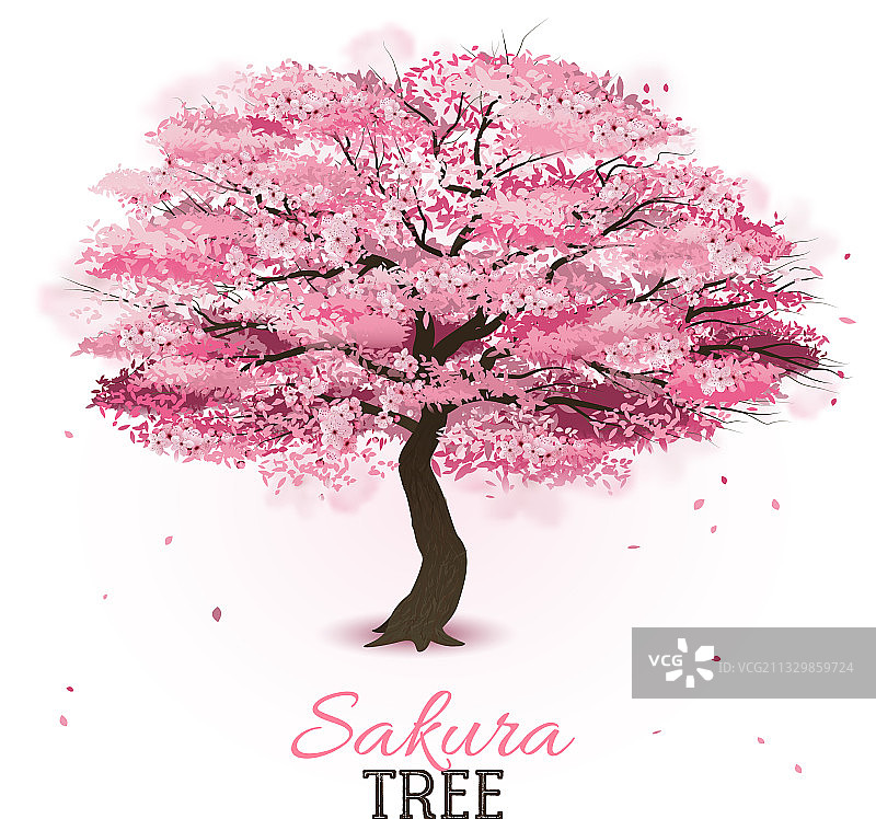 逼真樱花树图片素材