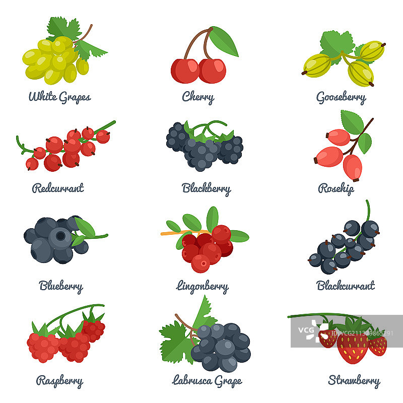 浆果扁平图标集图片素材