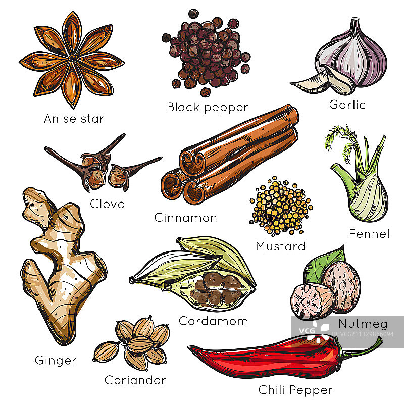 印度香料草药图标合集图片素材