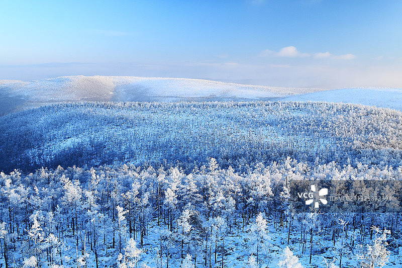 大兴安岭冬季林海雪原雾凇图片素材