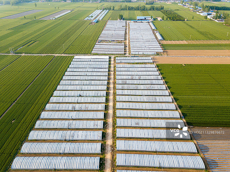 河南省濮阳市清丰县蘑菇大棚图片素材
