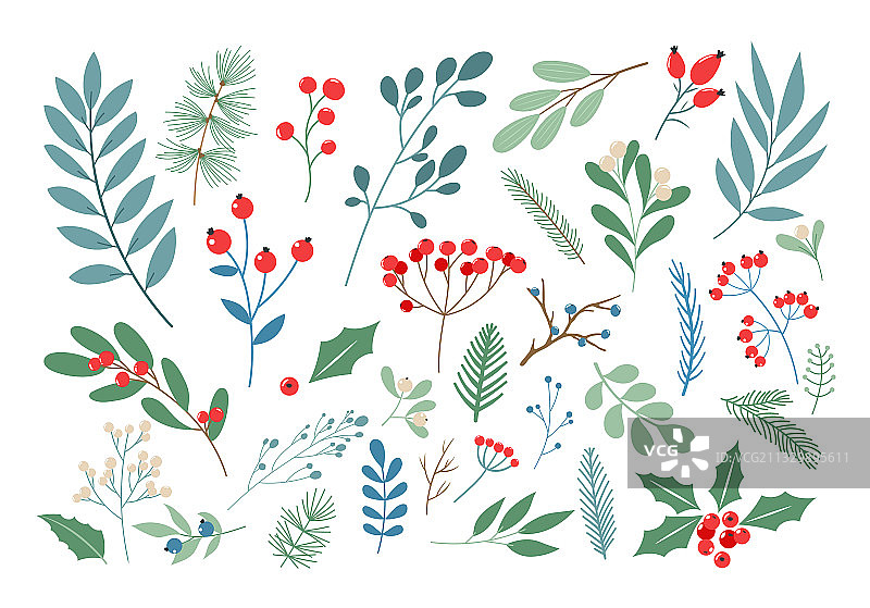 冬季浆果和树叶图片素材