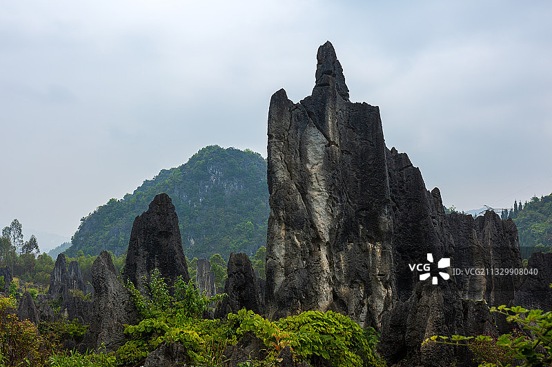 贵州兴义国家地质公园的泥凼石林图片素材