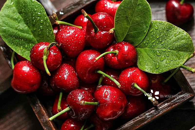 樱桃红了图片素材