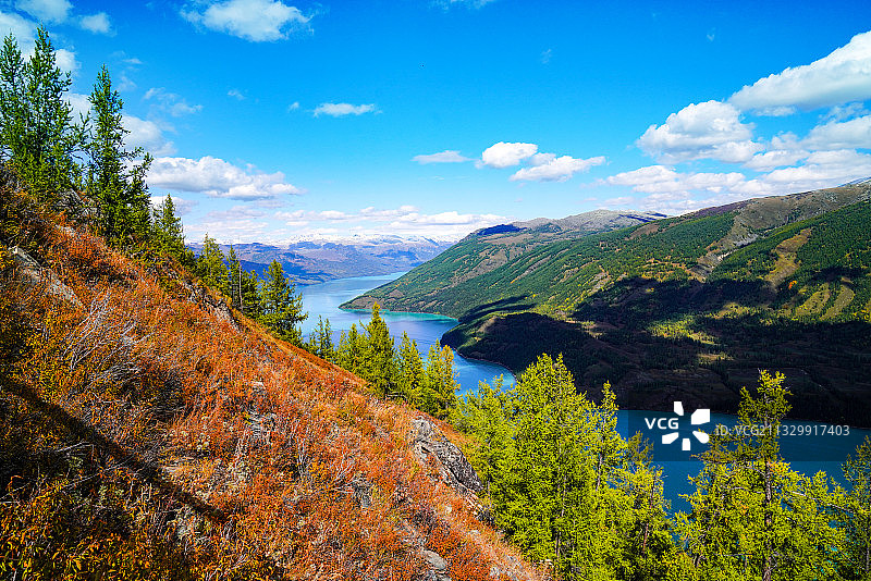 新疆阿勒泰喀纳斯湖秋色图片素材