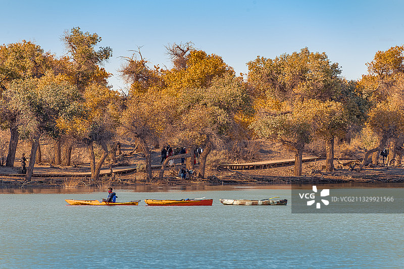 内蒙古自治区阿拉善盟额济纳旗府额济纳旗弱水·金沙湾胡杨风景区图片素材