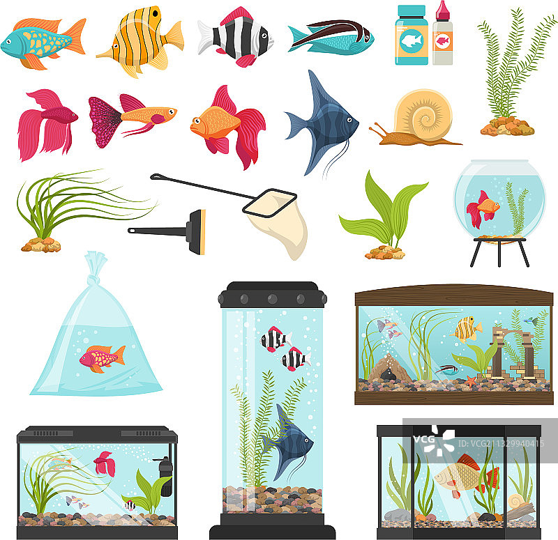 水族馆基本元素合集图片素材