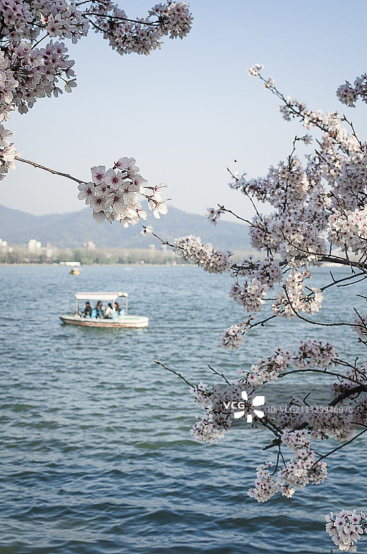 南京玄武湖樱花图片素材