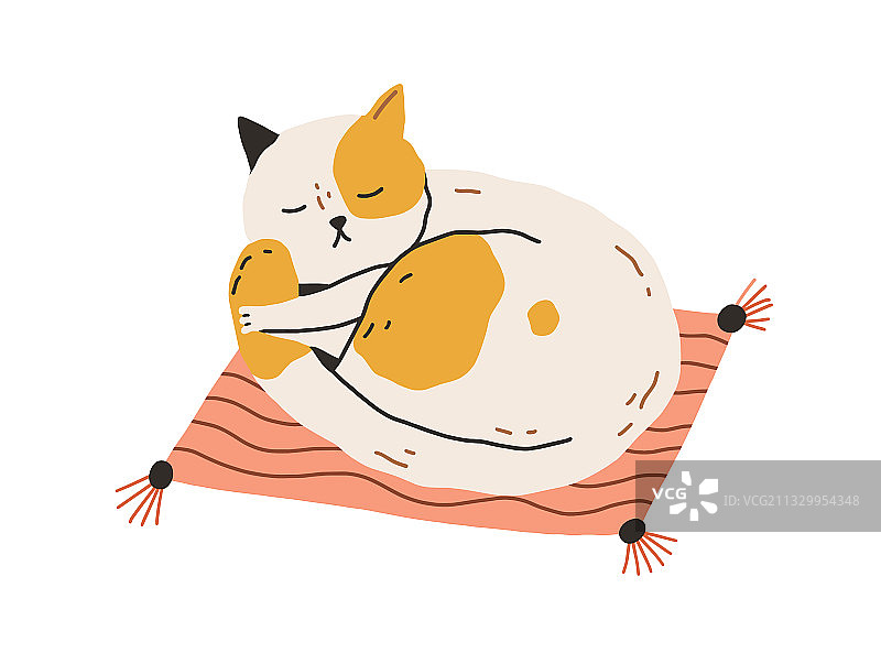 疲惫的猫咪睡在枕头上，尾巴蜷缩着图片素材