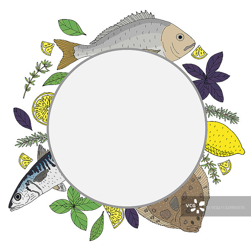 海鲜鱼类手绘圆形边框图片素材