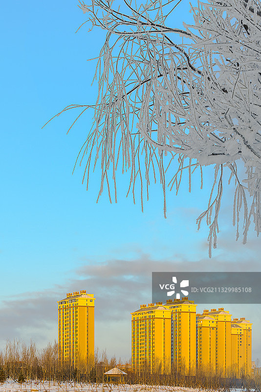 小兴安岭小城雾凇图片素材