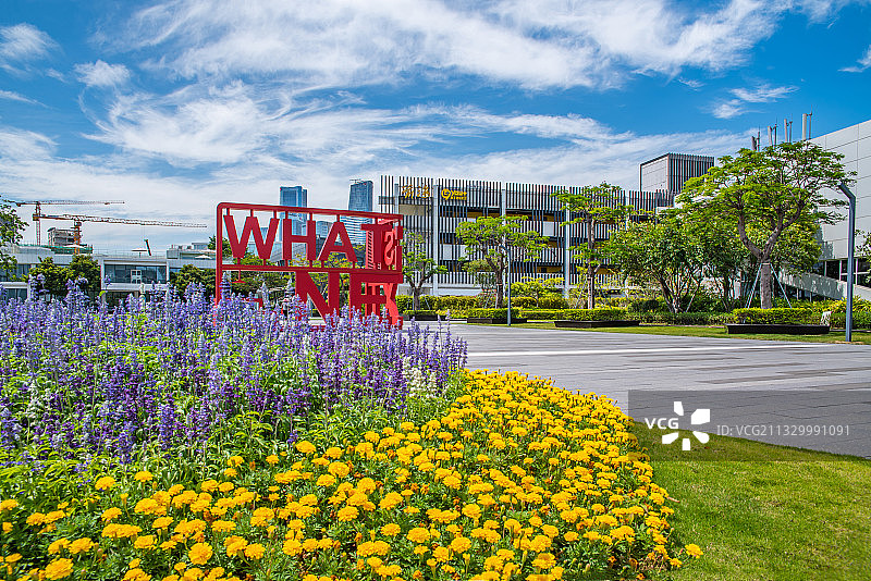 中国深圳前海深港青年梦工场创业园区图片素材