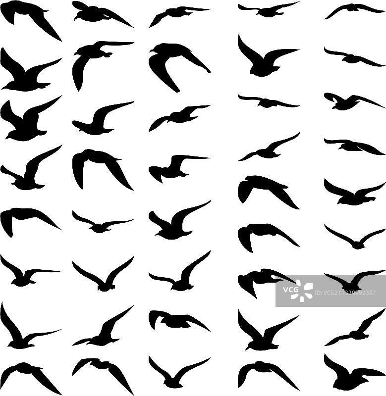 不同姿势的海鸥剪影图片素材