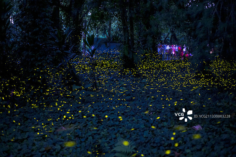 爱心小精灵图片素材