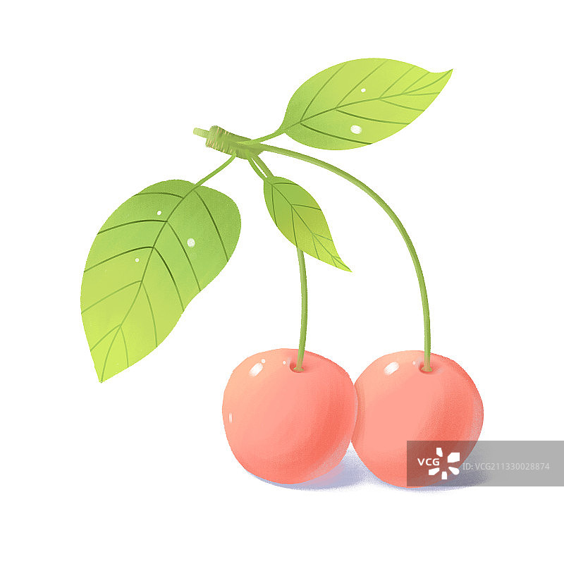 板绘植物水果樱桃车厘子素材元素插画图片素材