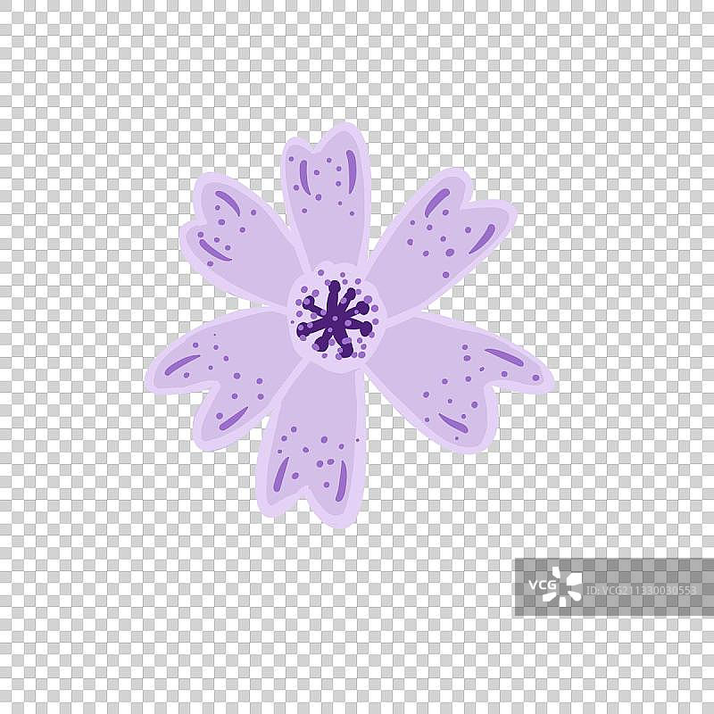 紫色小花图片素材