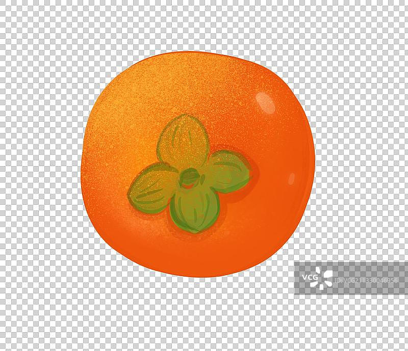 简笔插画元素秋天成熟柿子果实图片素材