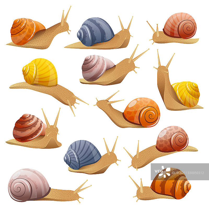 装饰蜗牛套装图片素材