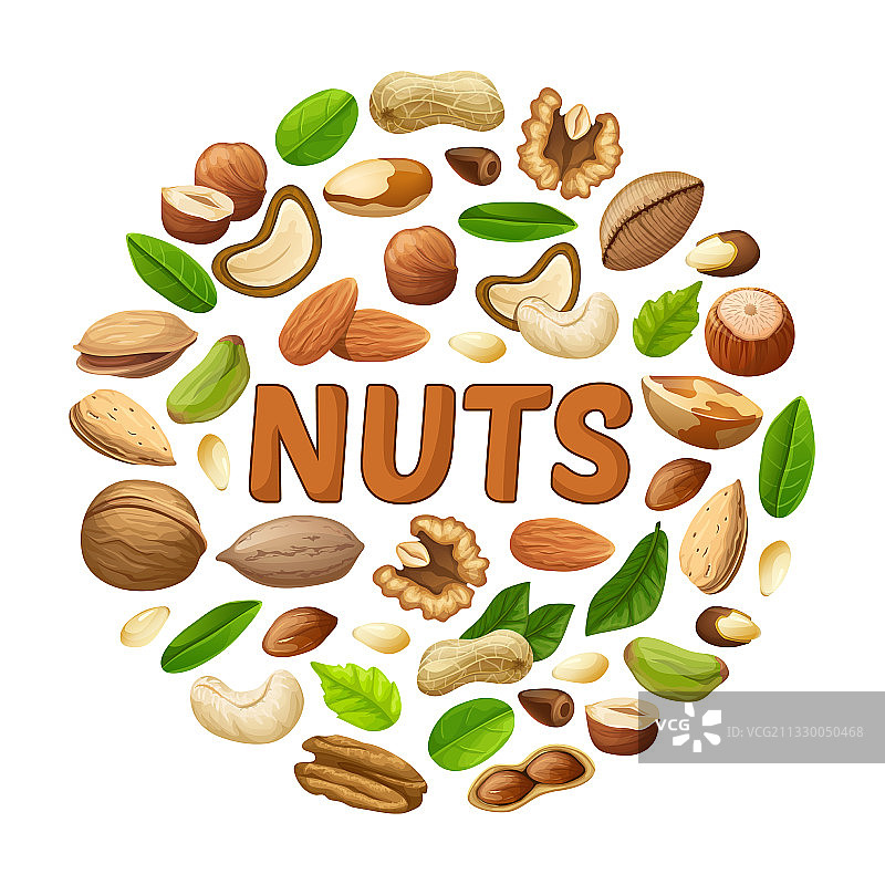 卡通坚果圆形概念图片素材