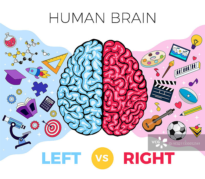 大脑半球组成图片素材