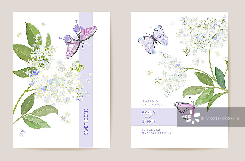 水彩接骨木花卉婚礼卡片图片素材