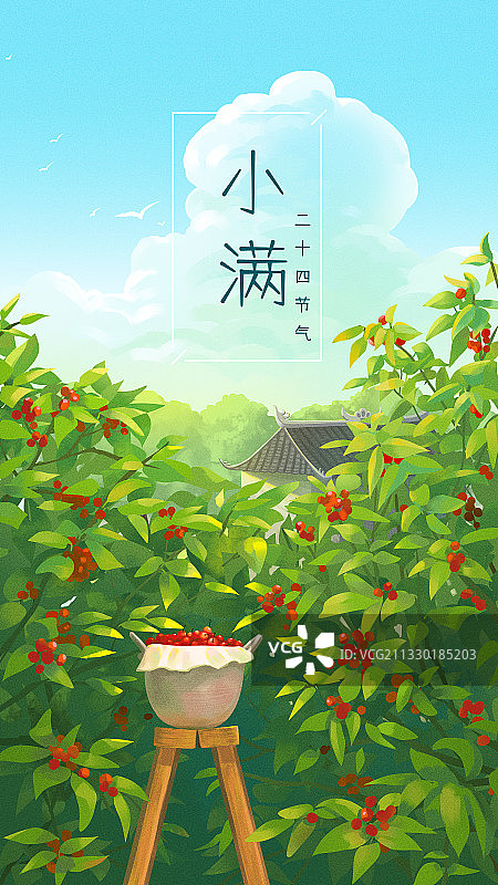 夏天暑假田野樱桃树二十四节气小满图片素材