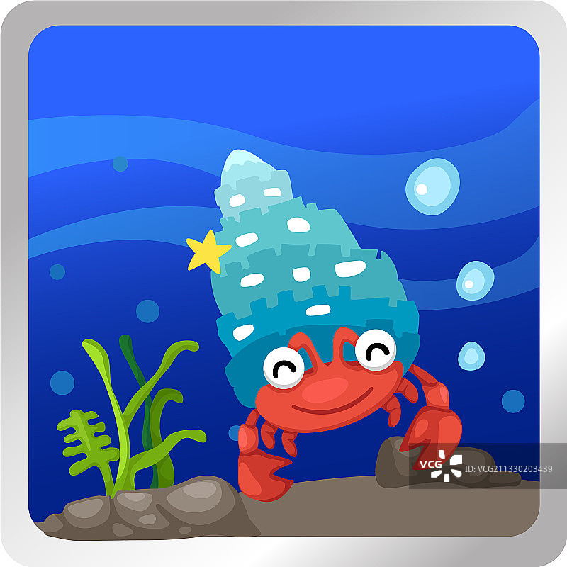 水下背景中的寄居蟹图片素材