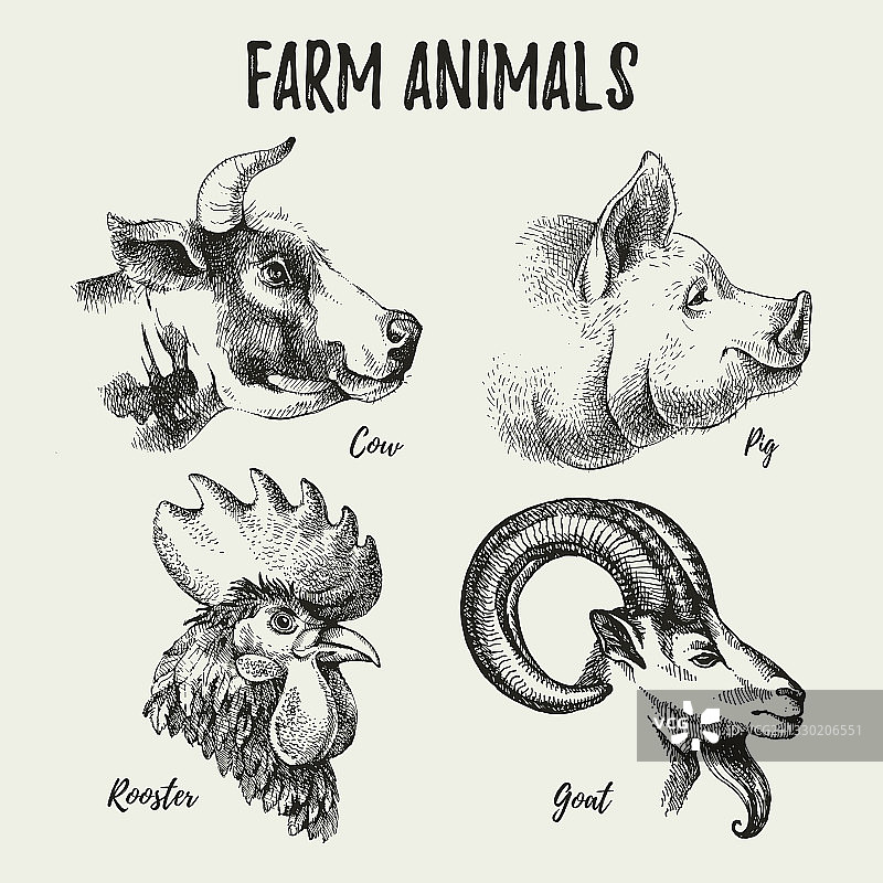手绘农场动物头像图片素材