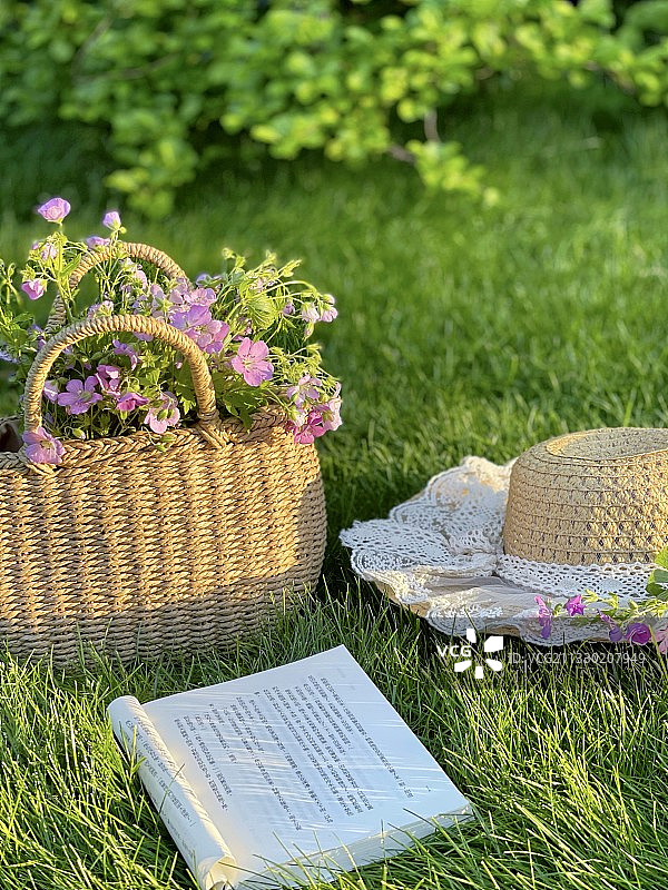 初夏阳光图片素材