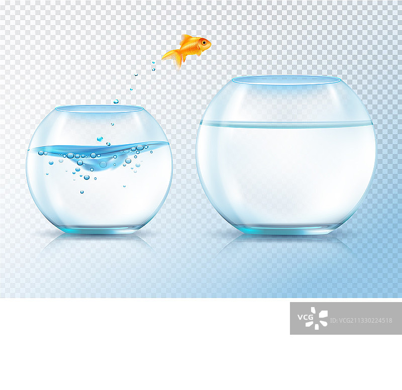 跳跃的金色鲤鱼构图图片素材