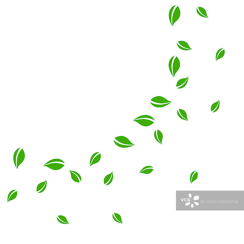 飘落的绿叶新鲜茶叶图片素材