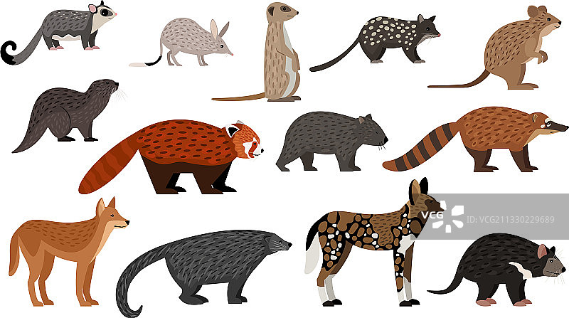 非洲动物集合图片素材