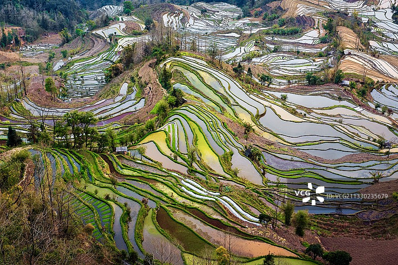 多彩梯田   云南元阳图片素材