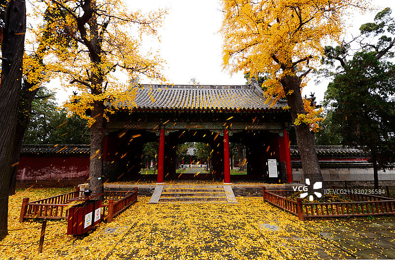 孟庙  济宁图片素材