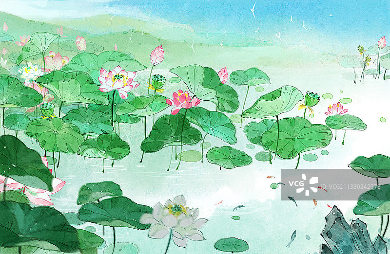 池塘中的荷花插画图片素材