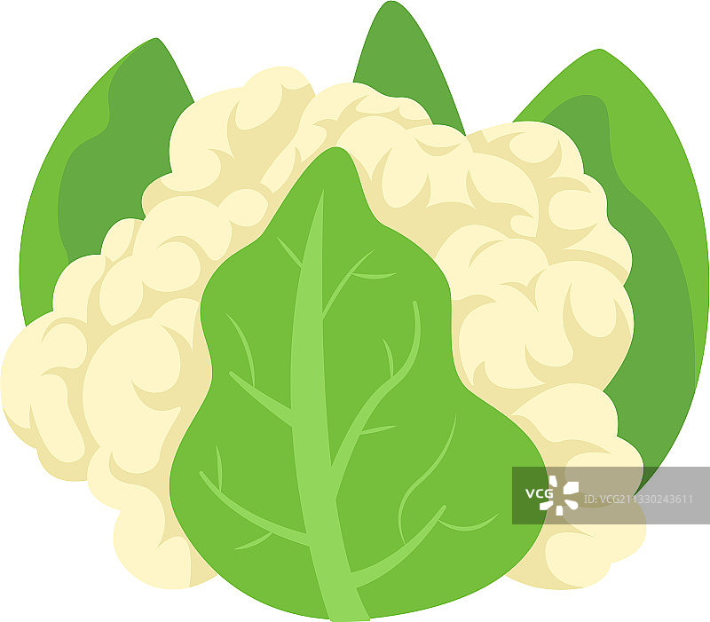 菜花蔬菜图标图片素材