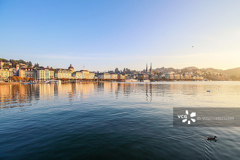 卢塞恩的清晨，四森林湖上，有几只天鹅滑过，留下淡淡的波纹。图片素材