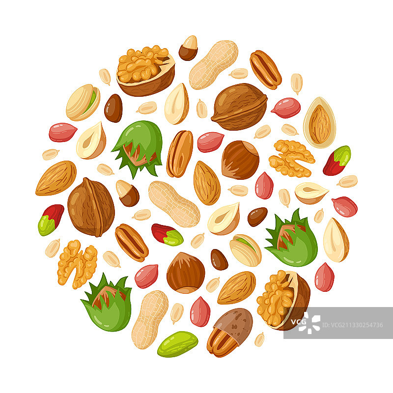 卡通种子和坚果杏仁花生腰果图片素材