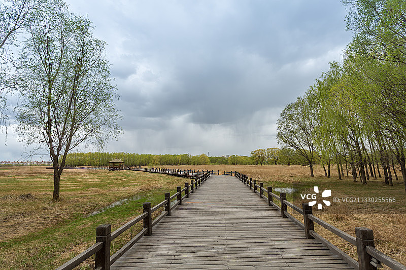泰湖国家湿地公园，泰来县，齐齐哈尔市，黑龙江省，栈道，湿地图片素材