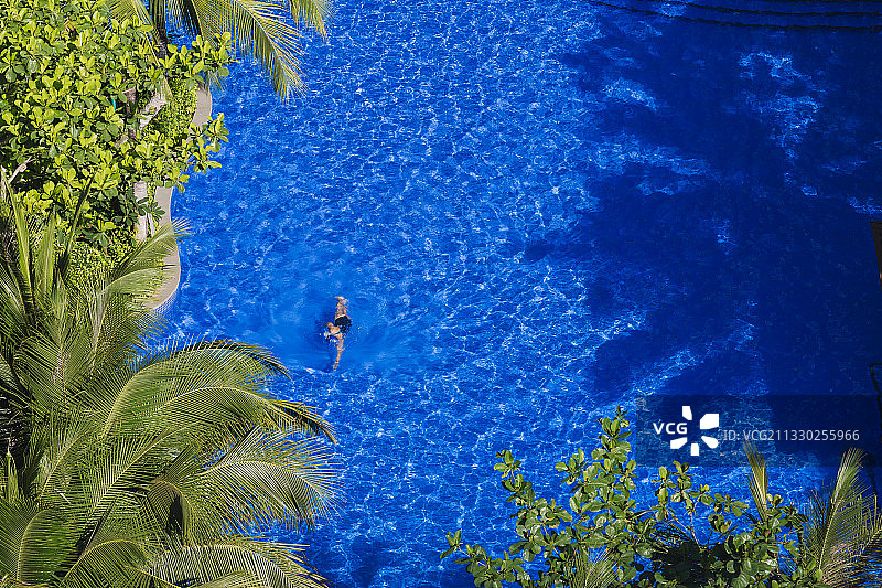椰树和蓝色的游泳池，一位亚洲女性在游泳。图片素材