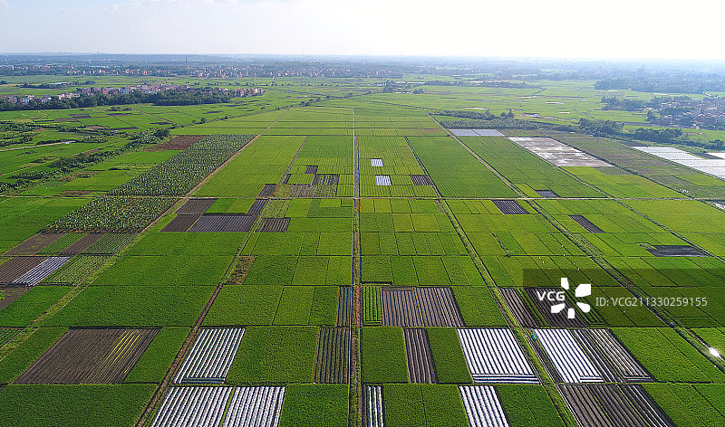 绿色田野，磅礴大地。图片素材