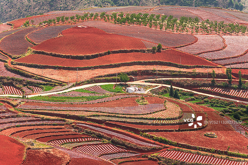 夏季的中国云南东川红土地图片素材