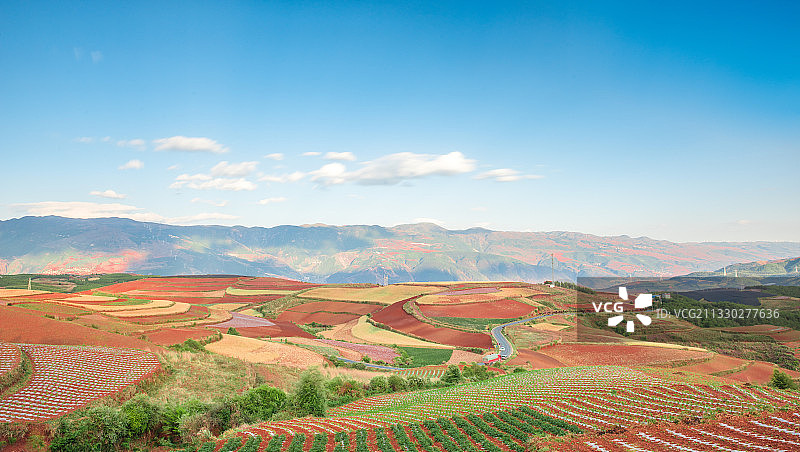 夏季的中国云南东川红土地图片素材
