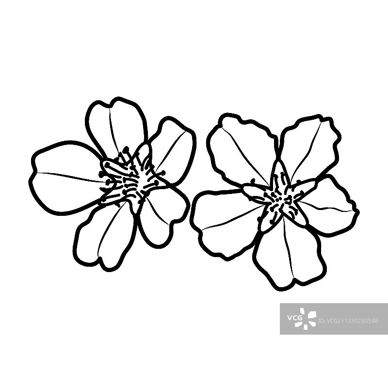 手绘杏花设计标志图片素材