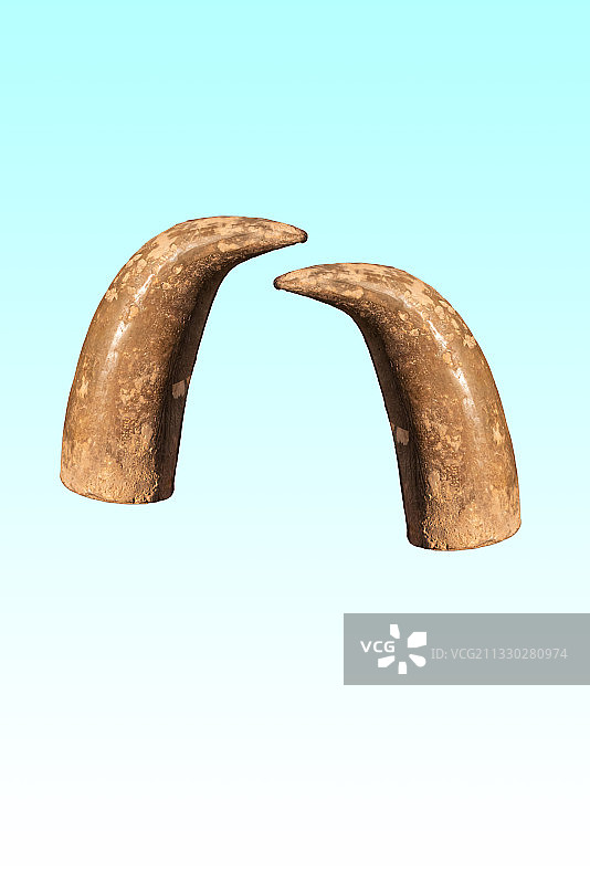 仰韶文化时期的灰陶，牛角形器图片素材