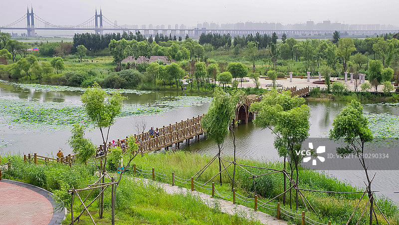 金河湾湿地植物园 哈尔滨图片素材